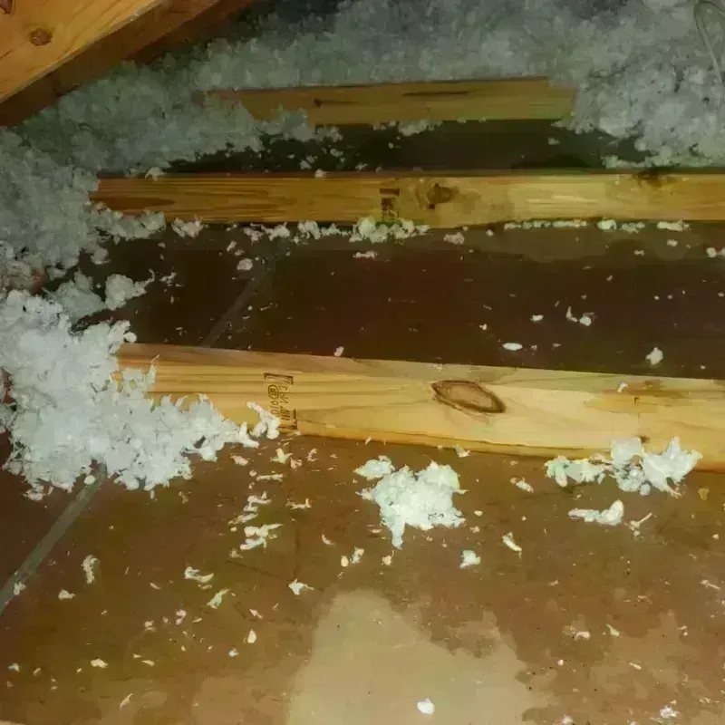 Attic Water Damage in Oak Ridge, FL